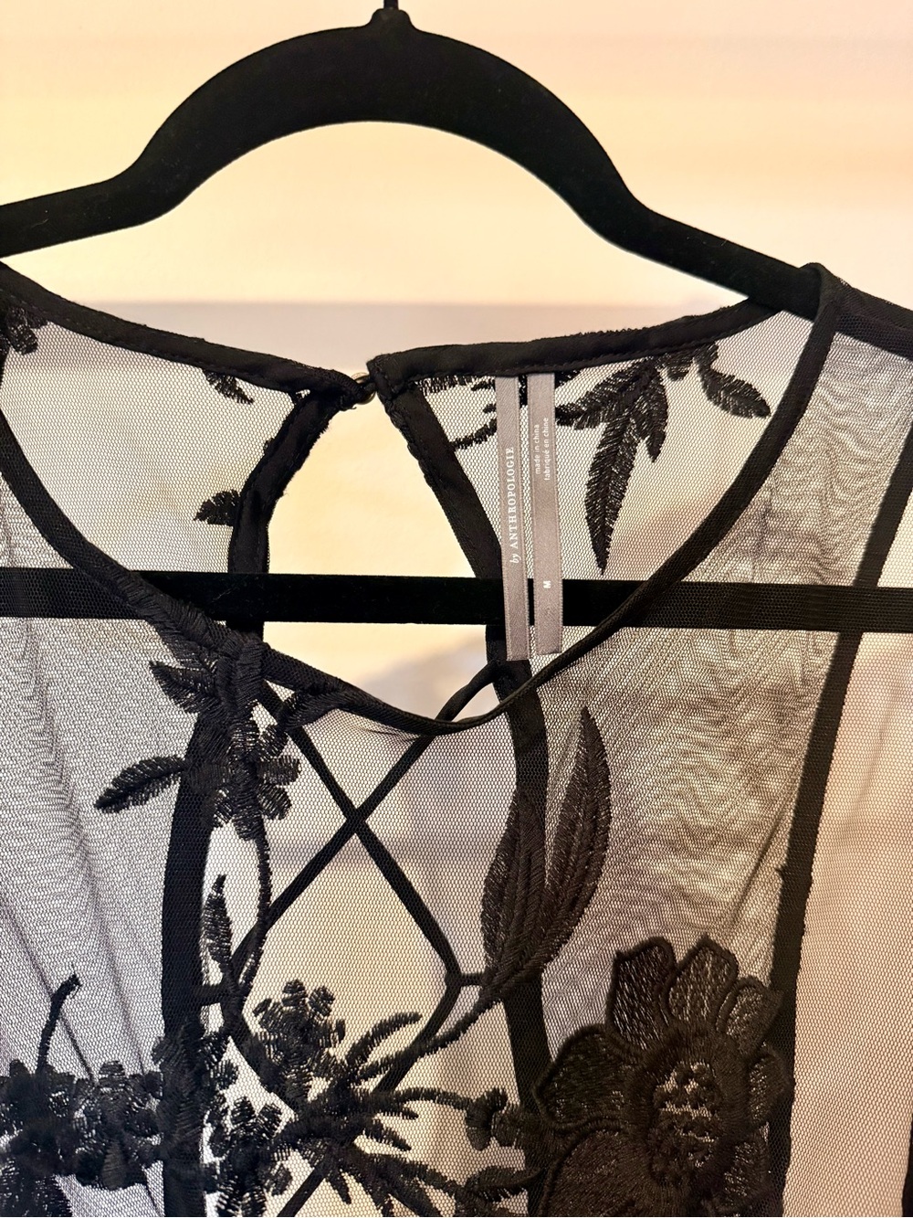 By Anthropologie Embroidered Black Mesh Maxi Dress - Picture 9 of 9